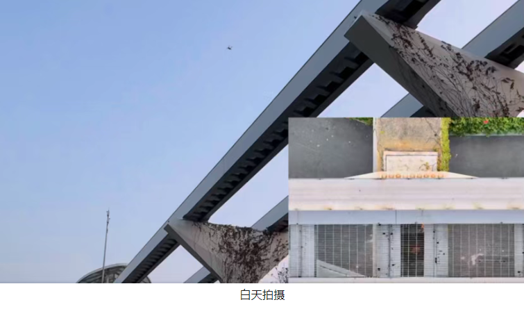 image.png 大疆无人机场3高性能日夜巡检轨道梁安全