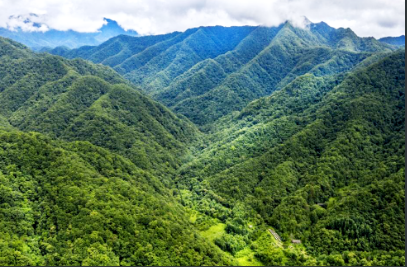 微信截图_20220307140558.png 微信截图_20220307140558.png